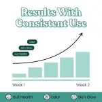 Chlorophyll Supplement for Detox flow chart