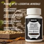 Shilajit Sea Moss Supplement for Men’s Vitality and Energy single bottle picture