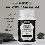 Shilajit Sea Moss Supplement for Men’s Vitality and Energy single bottle picture