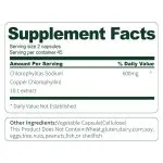 Moringa Capsules for Daily Antioxidant Support