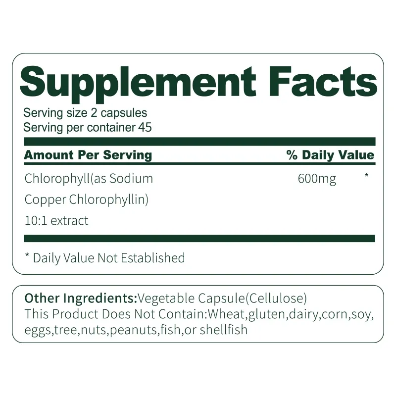 Moringa Capsules for Daily Antioxidant Support