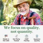 Moringa Capsules for Daily Antioxidant Support model picture