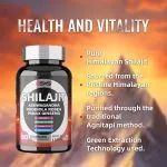 Shilajit Gummies for Focus, Drive, and Energy