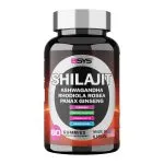 Shilajit Gummies for Focus, Drive, and Energy