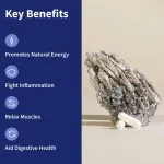 Sleep Dietary Supplement