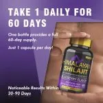 Himalayan Shilajit Gummies (60 Count) bottle front view