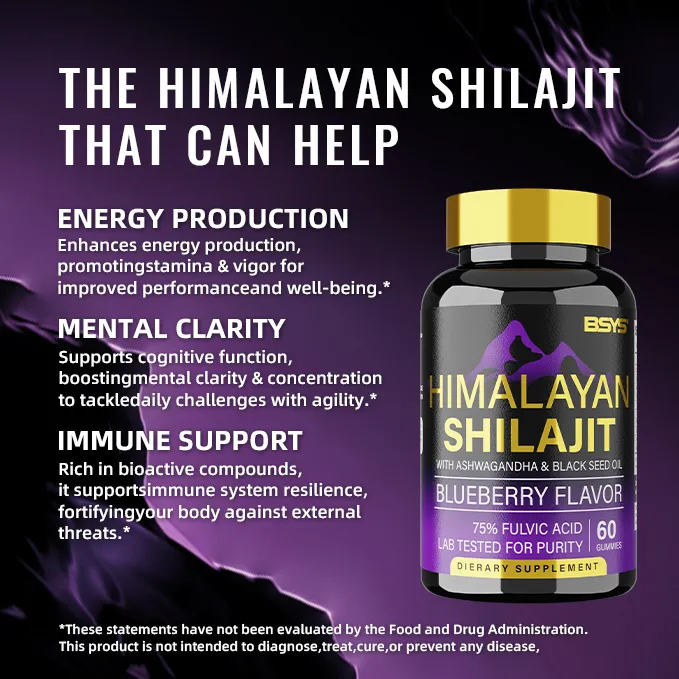 Himalayan Shilajit Gummies (60 Count) bottle front view