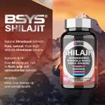 Image Shilajit Gummies for Focus, Drive, and Energy
