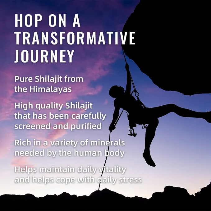 Himalayan Shilajit Gummies (60 Count)