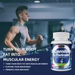 L-Carnitine L-Tartrate for Muscle Recovery