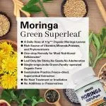Moringa Capsules for Daily Antioxidant Support