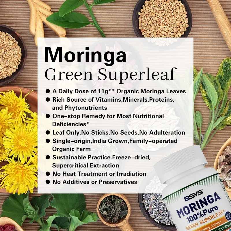 Moringa Capsules for Daily Antioxidant Support