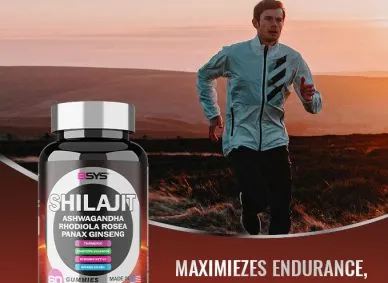 Shilajit Gummies for Focus, Drive, and Energy