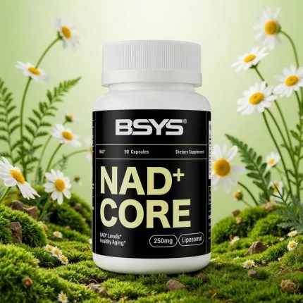 Best NAD Supplement: single Bottle single Bottle