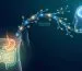Gut-Brain Connection