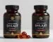 Shilajit Gummies vs. Capsules