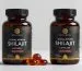 Shilajit Gummies vs. Capsules