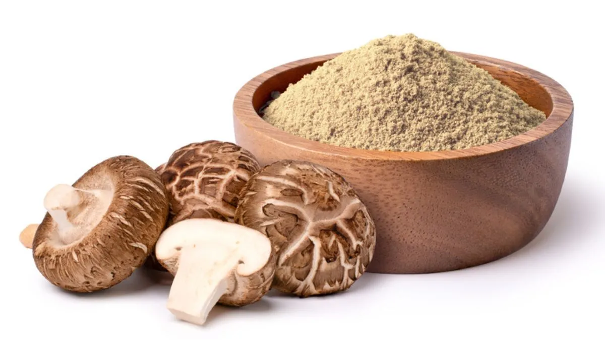 Mushroom Powder